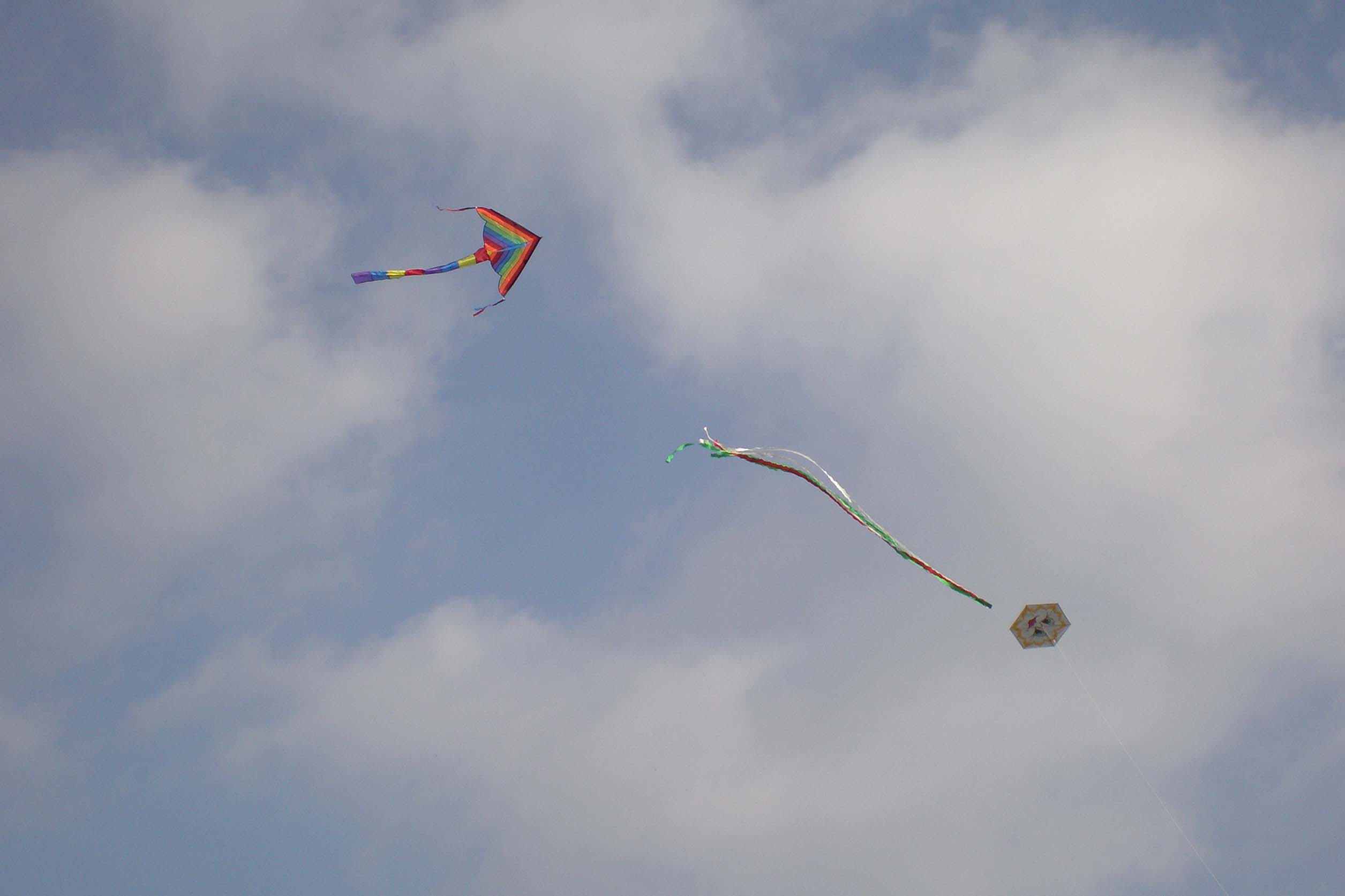 PB030035u